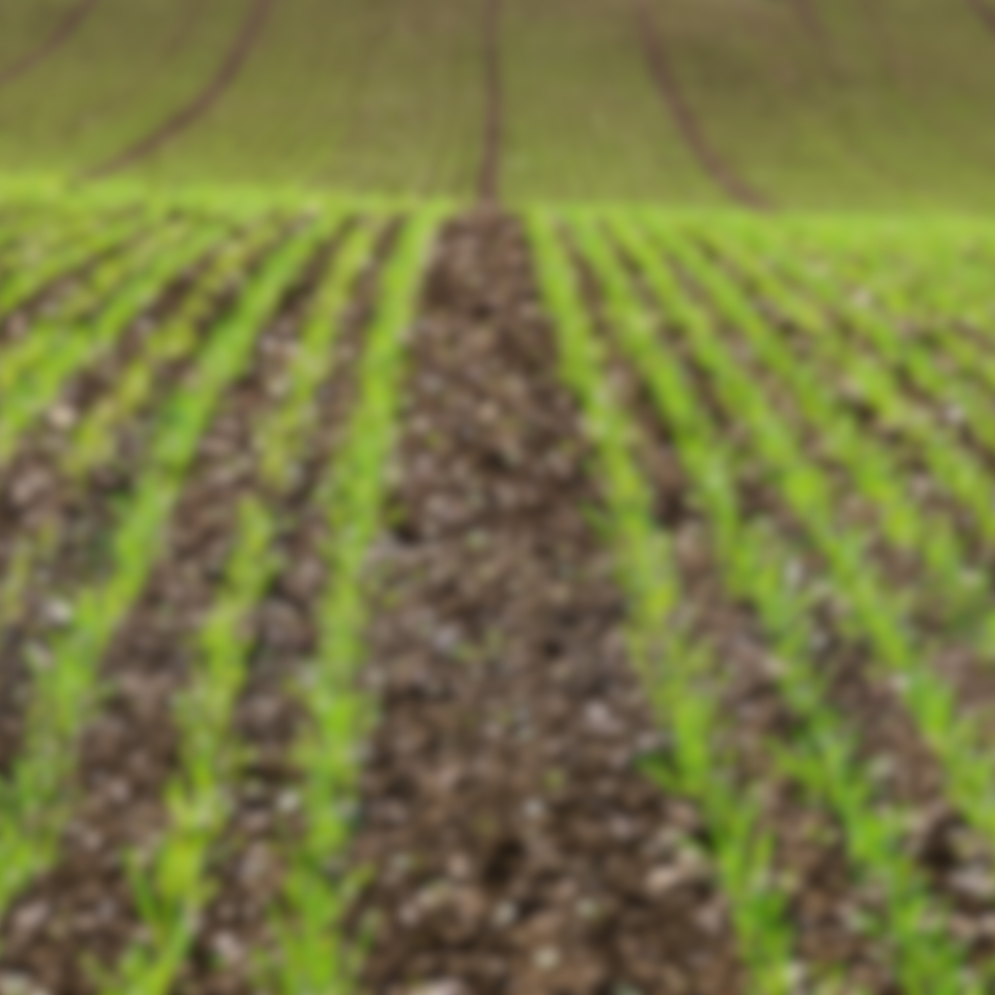 Training courses for doctor (5)